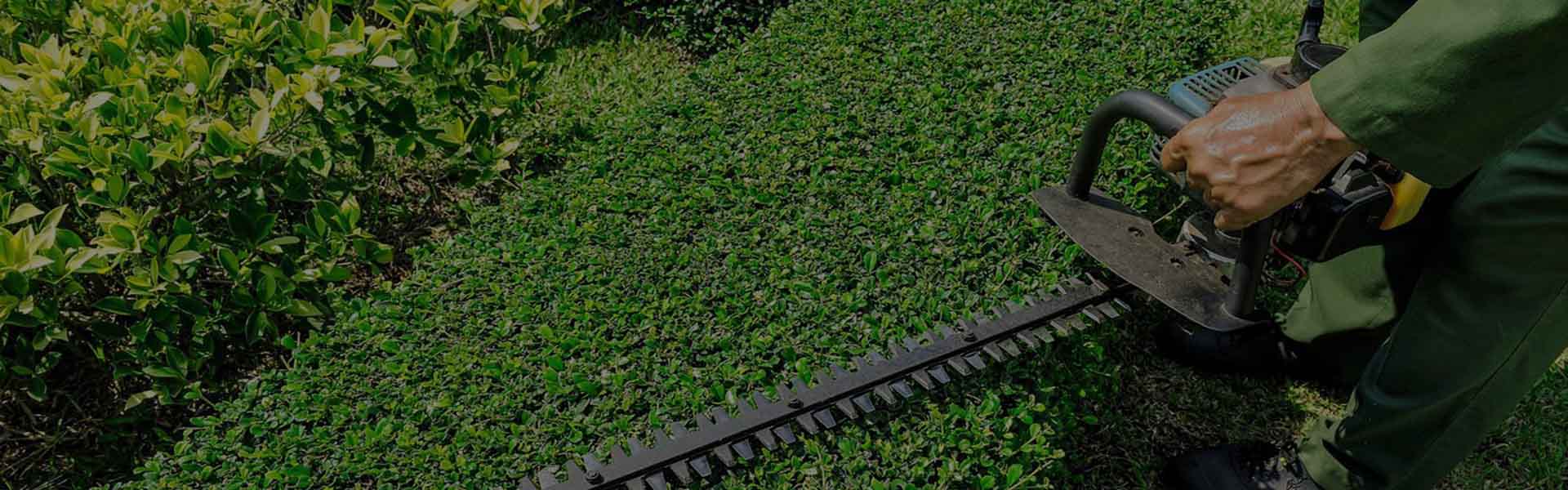 Housekeeping Services in Pune